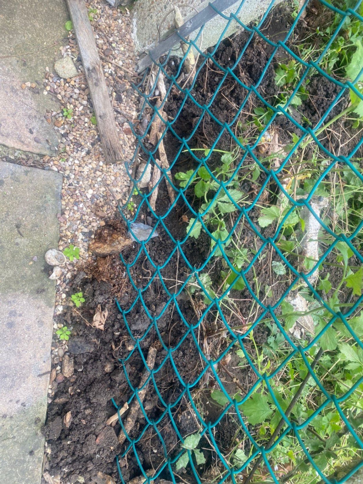 Asbestos Clearance in Chessington, KT9: How a Clearance Runs in Practice
