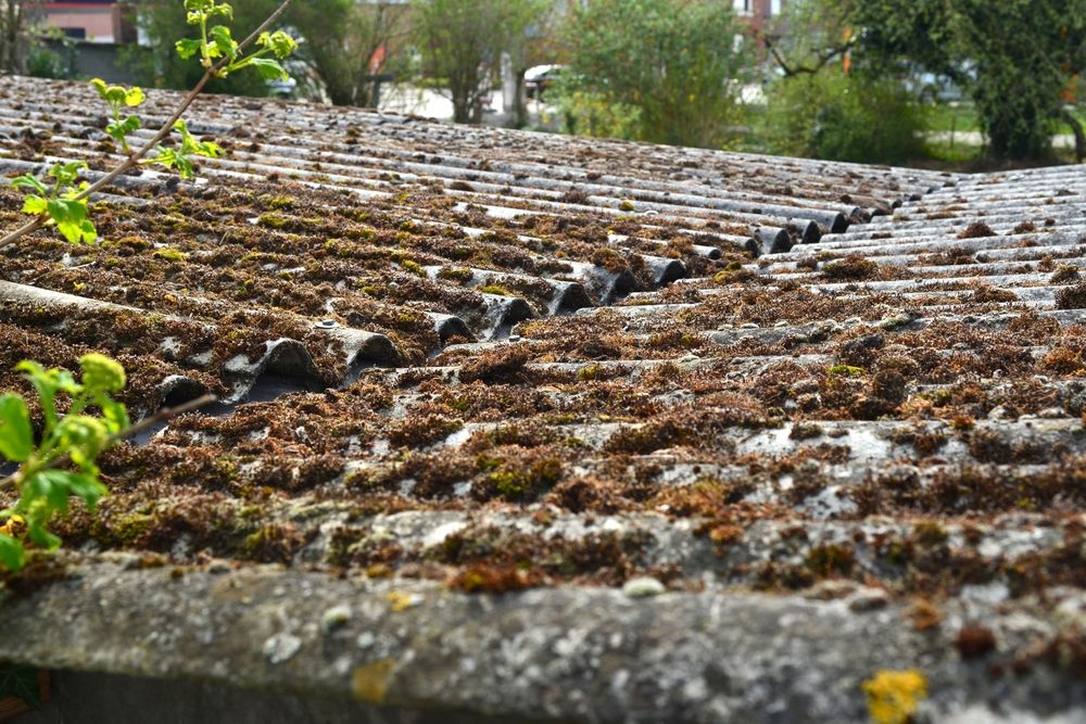 Costs & Process asbestos questions