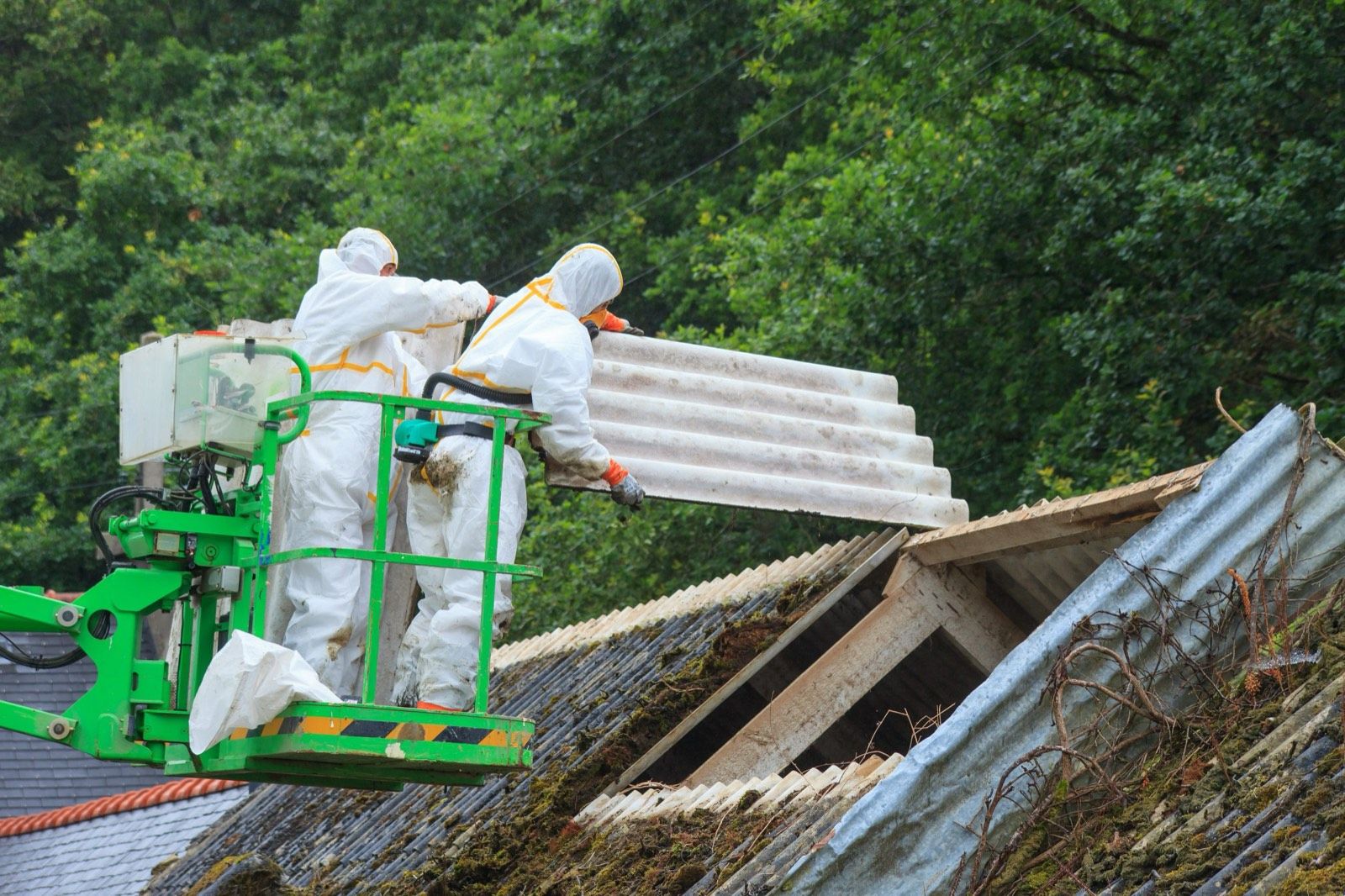Asbestos Ceiling Removal in Sutton: Telling artex apart from insulating board