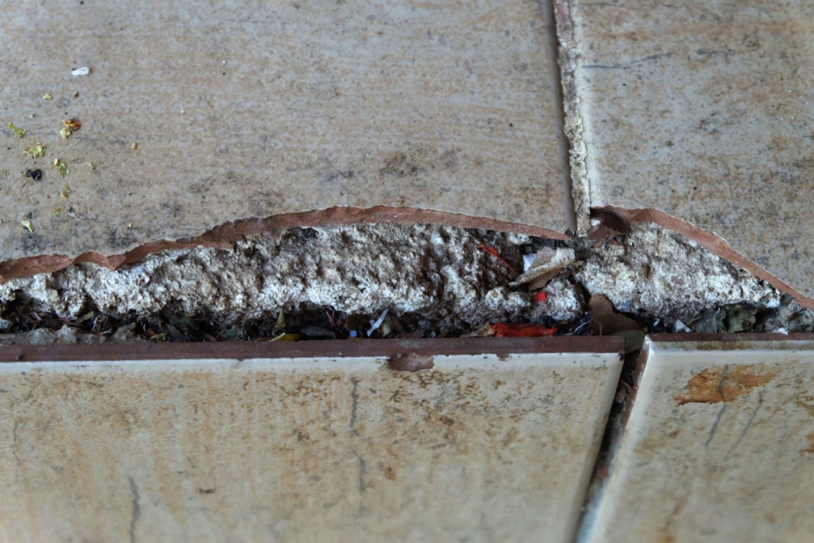 Asbestos Floor Tile Removal in Sutton