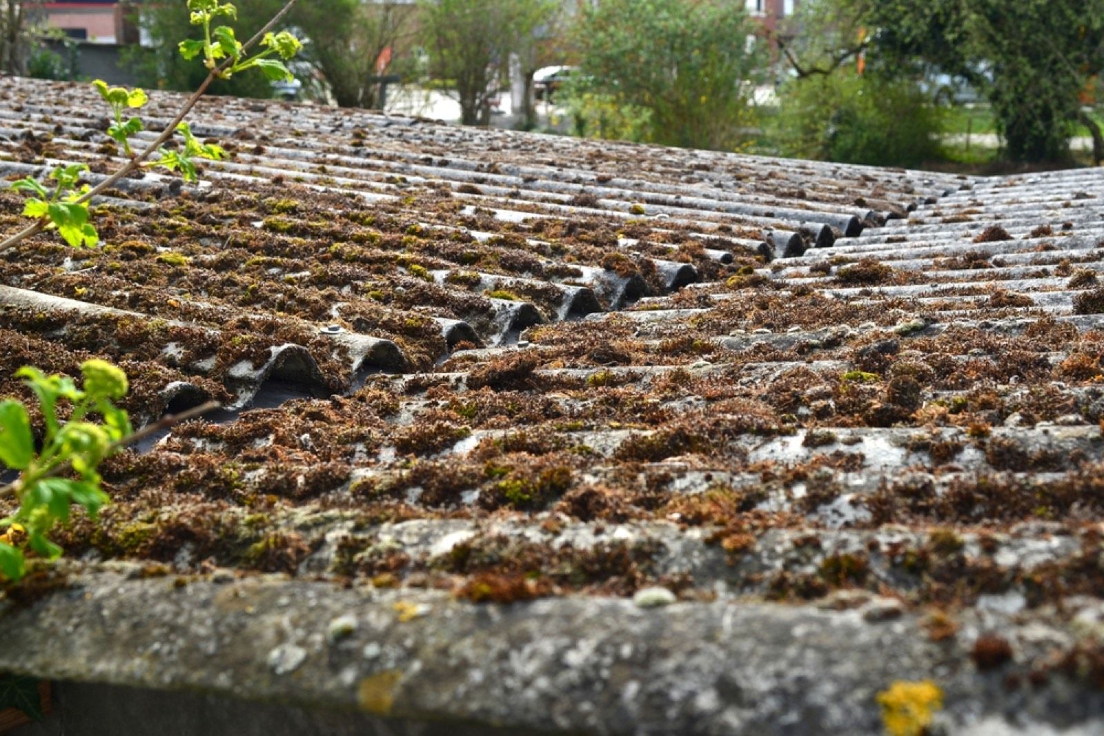Asbestos Roofing Removal in Sutton: How we take a cement roof down in Sutton