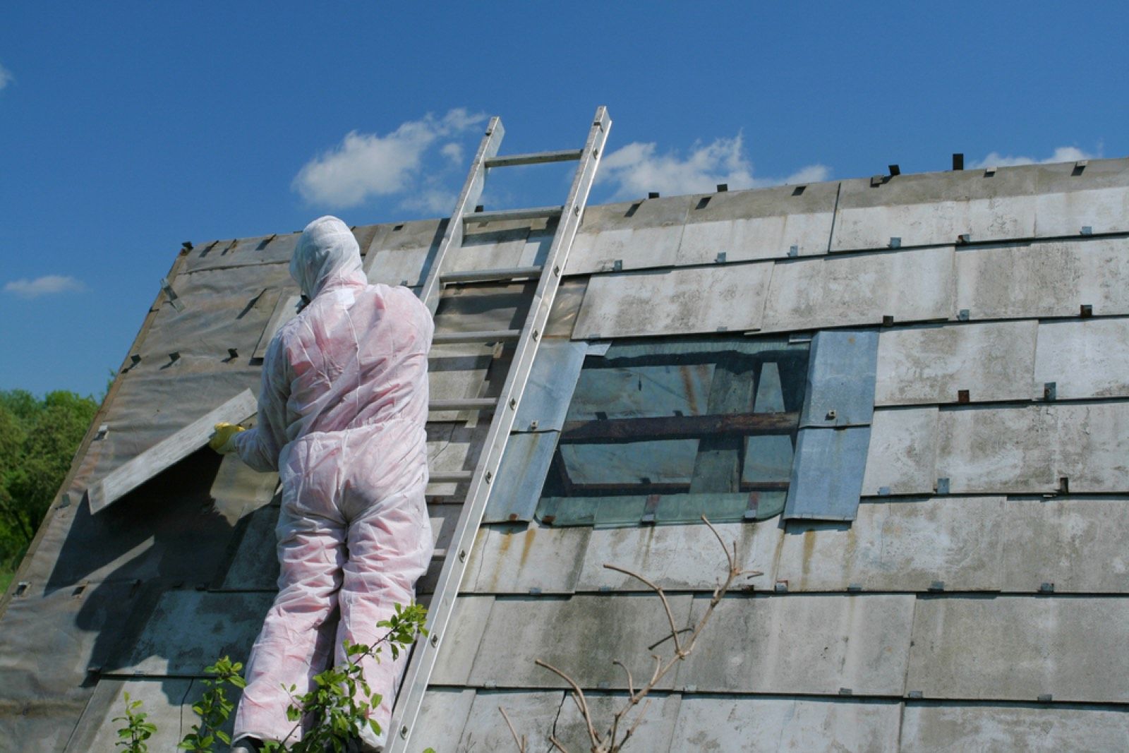 Asbestos Surveys in Sutton: Sampling, the lab and the report you keep