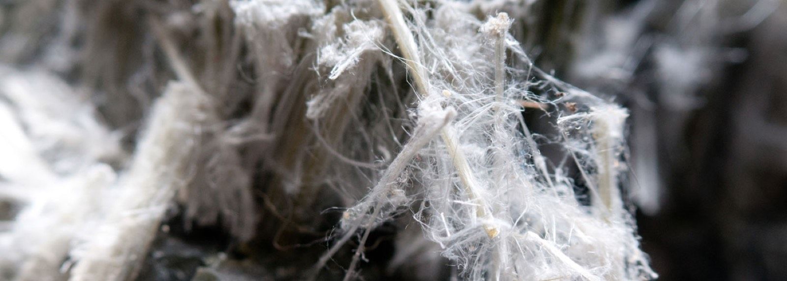 Asbestos Surveys in Chiswick